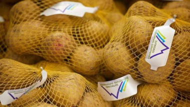 Վրաստանը 52 տոննա հիվանդ կարտոֆիլ է վերադարձրել Թուրքիային