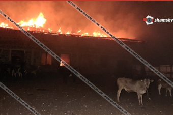 Խոշոր հրդեհ Երևանում․ անասնագոմում առաջացած կրակն ու ծուխը տեսանելի են եղել մի քանի կիլոմետրից․ shamshyan.com