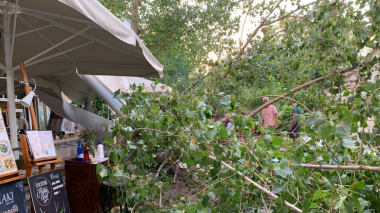 Աթենքում ամերիկյան պաշտոնյաների ընթրիքի ժամանակ ծառն ընկել է ռեստորանի վրա