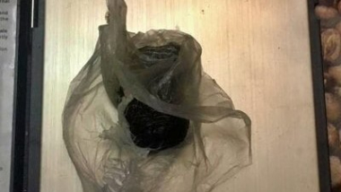 Բացահայտվել է առանձնապես խոշոր չափերի թմրամիջոցների փոխադրումը «Վարդաշեն» ՔԿՀ