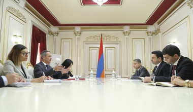 Ալեն Սիմոնյանը Թիերի Ռիբոյի հետ քննարկել է Ադրբեջանում պահվող գերեվարված անձանց ու անհետ կորածներին առնչվող հարցեր