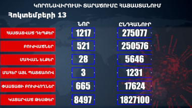 Հաստատվել է կորոնավիրուսի 1217 նոր դեպք, առողջացել 521 քաղաքացի