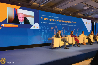 Նարեկ Մկրտչյանը մասնակցել է «Եվրոպայի ժողովրդագրական ապագայի ձևավորում» նախարարական առցանց համաժողովին