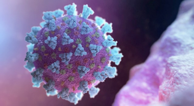 Կորոնավիրուսի օմիկրոն շտամով վարակված երեխաների մոտ կարող է ցան առաջանալ