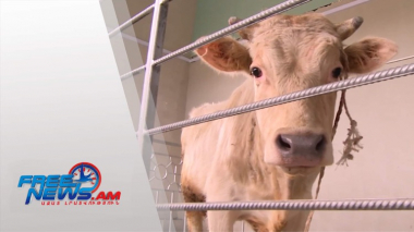 Խստացված ստուգումներ՝ մարտի 14-ից