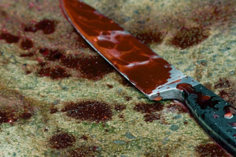 Մարտունիի ոստիկանապետը մանրամասներ է ներկայացրել օրերս տեղի ունեցած դաժան սպանությունից