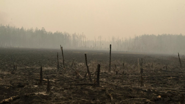 Ռուսաստանում անտառային հրդեհները մոտ 700 տուն են ոչնչացրել