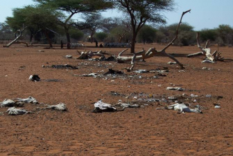 ՄԱԿ-ը հայտնել է Երկրի վրա երաշտների հաճախականության 29 տոկոսով աճի մասին