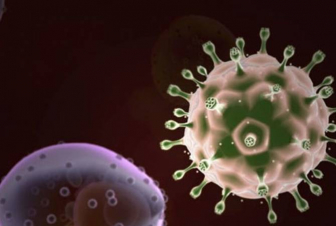 ԱՀԿ-ն դեռ տեղեկություն չունի կապիկի ծաղիկ վիրուսի հնարավոր մուտացիաների մասին