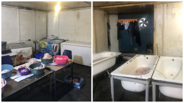 Զբոսաշրջիկների տեսանյութը՝ արտադրամասի գործունեության կասեցման հիմք