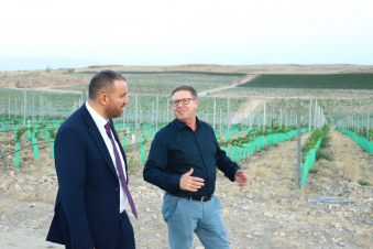 Վահան Քերոբյանն այցելել է Արագածոտնի մարզում գործունեություն ծավալող ընկերության խաղողի այգիներ