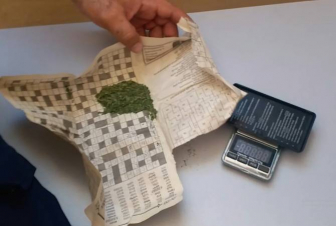 Ոստիկանները բացահայտել են Քաջարանի ընկերություններից մեկի տարածքում կանեփ աճեցնելու դեպք