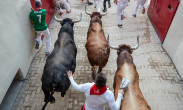  Իսպանիայում մեկ մարդ է մահացել ցլերի հետ մրցավազքի ժամանակ ստացած վնասվածքներից