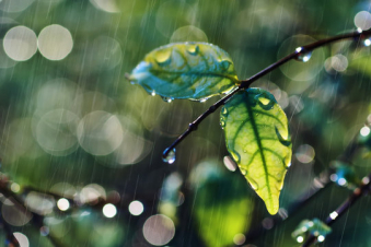 Հանրապետությունում առաջիկա օրերին օդի ջերմաստիճանը կնվազի 5-7 աստիճանով