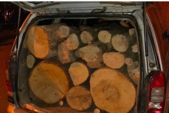 Լոռու պարեկները հայտնաբերել են ապօրինի փայտանյութով բարձված ավելի քան 10 ավտոմեքենա