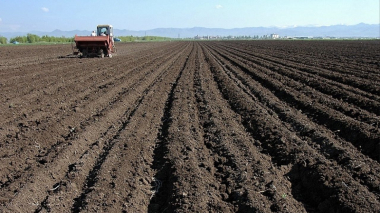 Հայաստանում հողերի առուվաճառքը 15.1 տոկոսով աճել է