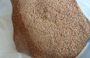 Արցախի ԳԱԱ հիմնադրամը պատրաստ է մատչելի արժեքով տրամադրել պահեստներում առկա սննդային հաճարի պաշարները