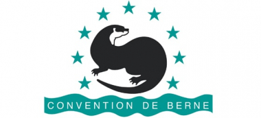 Ադրբեջանը ՀՀ-ի դեմ Բեռնի կոնվենցիայի շրջանակներում արբիտրաժային վարույթ է նախաձեռնել