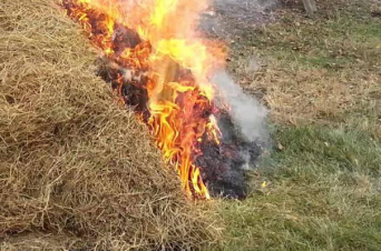 Տավուշում տան հարսը փորձել է հրկիզել հավանոցը․ ՆԳՆ