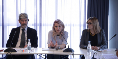 Արաքսիա Սվաջյանը մասնակցել է «ՄԱՎԵՏԱ» ծրագրի ղեկավար կոմիտեի նիստին