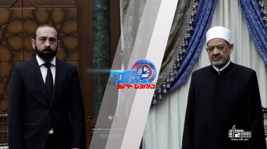 ՀՀ ԱԳ նախարարը հանդիպել է Ալ-Ազհարի Գերագույն Իմամի հետ