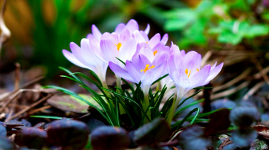 Օդի ջերմաստիճանը աստիճանաբար կբարձրանա․ առաջիկա օրերի եղանակային կանխատեսումները