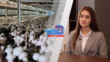 Անիֆ-ի «Ձեռնարկատեր+պետություն» ֆոնդի ներդրումները բիզնեսում կհասնեն 20 միլիոն դոլարի