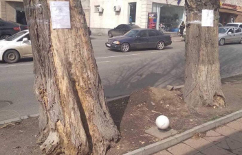 Հատման և փոխարինման ենթակա ծառերի վրա այսուհետ կլինի ծառահատման տոմսով հաստատված գրություն