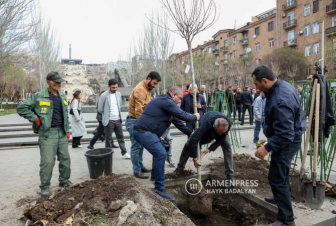 Կասկադի հարակից տարածքում հատված ոչ կենսունակ ծառերի փոխարեն կտնկվի 46 սակուրա