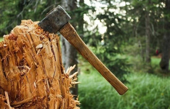 Ապրիլի 10-21-ը շրջակա միջավայրին 45 մլն 467 հազար դրամի չափով վնաս է հասցվել. ԲԸՏՄ հաշվետվությունը