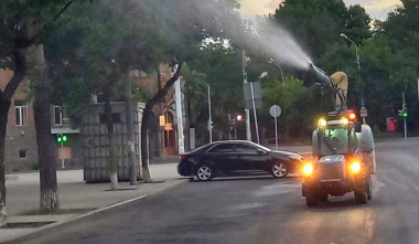 Կենտրոն վարչական շրջանում կիրականացվի ծառերի սրսկման աշխատանք. պետք է փակ պահել պատուհաններն ու պատշգամբի դռները