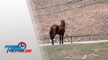 Մարզերում սահմանների որևէ փոփոխություն չի եղել