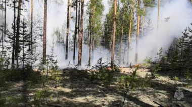 Ալթայի երկրամասում անտառային հրդեհների տարածքը հասել է 3,4 հազար հեկտարի