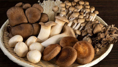 ՍԱՏՄ-ն հորդորում է չօգտագործել անհայտ ծագման սնկեր