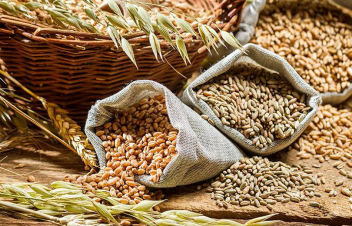 Արգելք է սահմանվել ՀՀ-ից մի շարք գյուղատնտեսական արտադրատեսակների արտահանման նկատմամբ