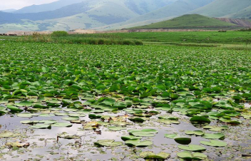 ՇՄՆ-ն արշավականներին և զբոսավարներին հորդորում է պատասխանատու լինել Ուրասարի կամ Ջրաշուշանների լիճ այցելելիս