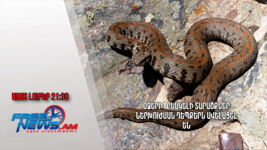 Օձերի` բնակելի տարածքներ ներխուժման դեպքերն ավելացել են.Ազատ լուրեր