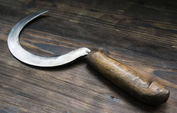 Վիճաբանության ժամանակ ավագ եղբայրը մանգաղով խփել է կրտսերին