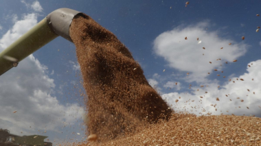 ՆԱՏՕ-ն հայտարարել է, որ աշխատում է ուկրաինական հացահատիկի արտահանումն ապահովելու ուղղությամբ