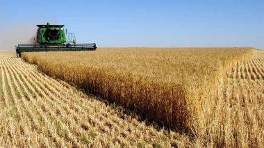 Մեծ Բրիտանիայի արտաքին գործերի նախարարությունը Ռուսաստանին կոչ է արել վերսկսել «հացահատիկի գործարքը»