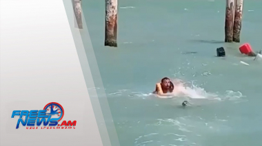 Ադրբեջանում փոկը հարձակվել է տղամարդկանց վրա