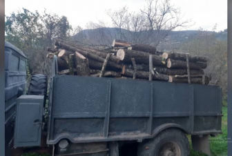 Ապօրինի ծառահատում կատարած 38-ամյա ագարակցին ներկայացել է ոստիկանություն