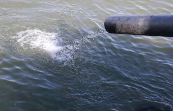 Սևանա լիճ է բաց թողնվել իշխանի «Գեղարքունի» տեսակի 100 հազար հատ մանրաձուկ