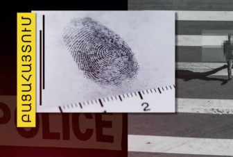 Ապարանի ոստիկանները հայտնաբերել են արծաթափայլ եղևնիներ գողացած տղամարդուն