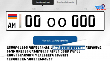 Auction.mia.gov.am հարթակից օգտվելու կարգը