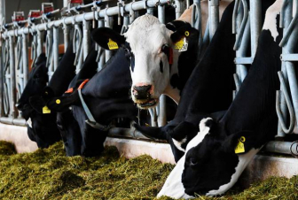 Լեհաստանը կարող է արգելել ռուսական գյուղմթերքի ներմուծումը