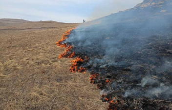 Ուռուտ գյուղում այրվել է մեծ մակերեսով խոտածածկույթ