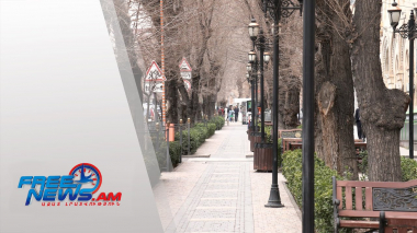 Վտանգավոր և սնկապատ ծառերը կփոխարինվեն նոր և գեղազարդ ծառերով