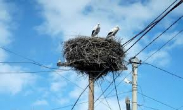 Տեղումներ չեն սպասվում, օդի ջերմաստիճանը կբարձրանա