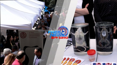 Ամփոփվել են ԳԱԱ 2023թ գիտական գործունեության հիմնական արդյունքները